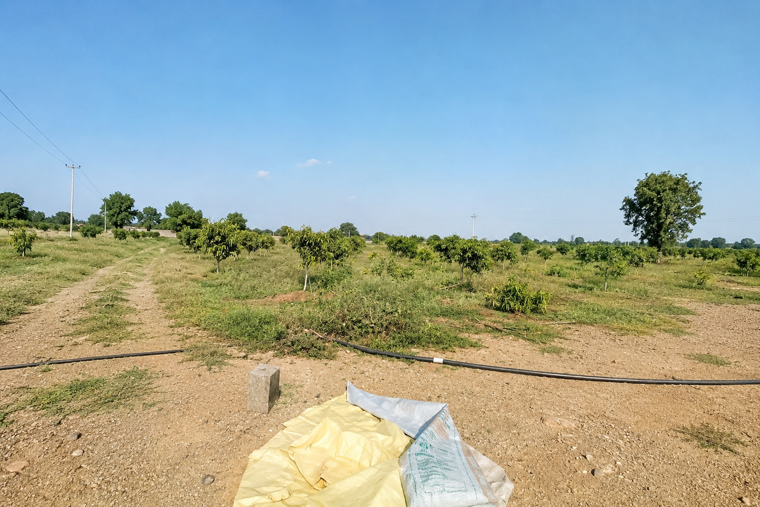 🏡 Rangareddy Farm Land For Sale | Kesampet Agricultural Land Near Hyderabad 🏡