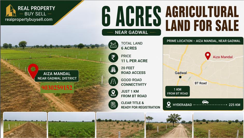 6 Acres Agricultural Land for Sale Near Gadwal | Aiza Mandal Farmland